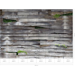 Erismann Fototapete Timber Grau, 400x270cm, zeigt eine verwitterte Holzbrettwand mit Pflanzen.