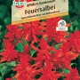 Samenpackung Sperli Feuersalbei Carabiniere mit roten Blüten.