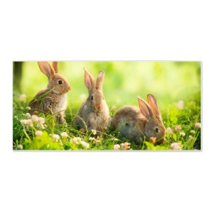 Magnettafel mit Hasenmotiv, 78x37cm. Metall-Pinnwand für Notizen und Fotos, inklusive Magnete.