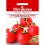 Dürr Samen Tomaten Hellfrucht Saatgut
