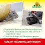 Neudorff Mäusefallen-Station Sugan, schwarz, mit Maus und geöffneter Falle.