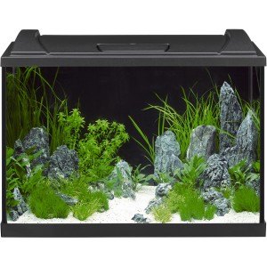 Eheim Aquarium-Set Aquapro LED 84 Schwarz, 84 l, bepflanzt und dekoriert.