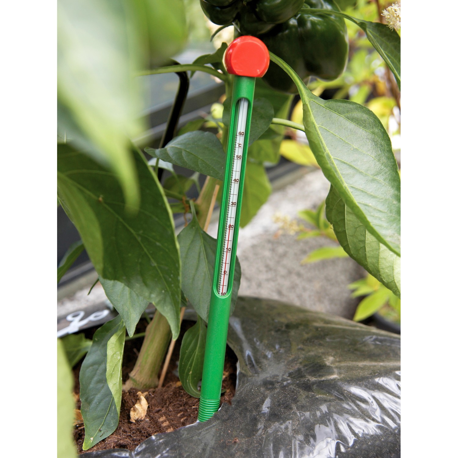 Juliana Erdbodenthermometer