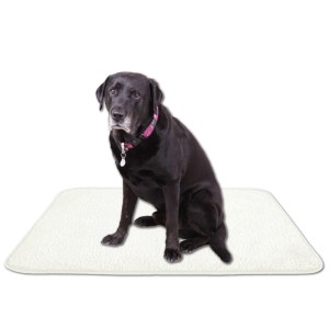 Bestlivings Tierdecke Lammflor creme, 90x140cm mit sitzendem, schwarzen Labrador.