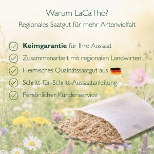 LaCaTho Blauglockenbaum Samen in offenem Päckchen auf Blumenwiese. Regionales Qualitätssaatgut, Keimgarantie.