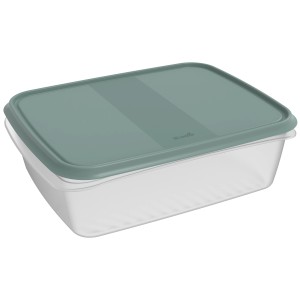 Rotho Kühlschrankdose Elements, 5 l, Mistletoe Green, Vorratsdose mit Deckel