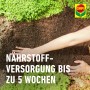 Hände verteilen Compo Bio Tomaten- und Gemüseerde, torffreie Erde für gesundes Wachstum.