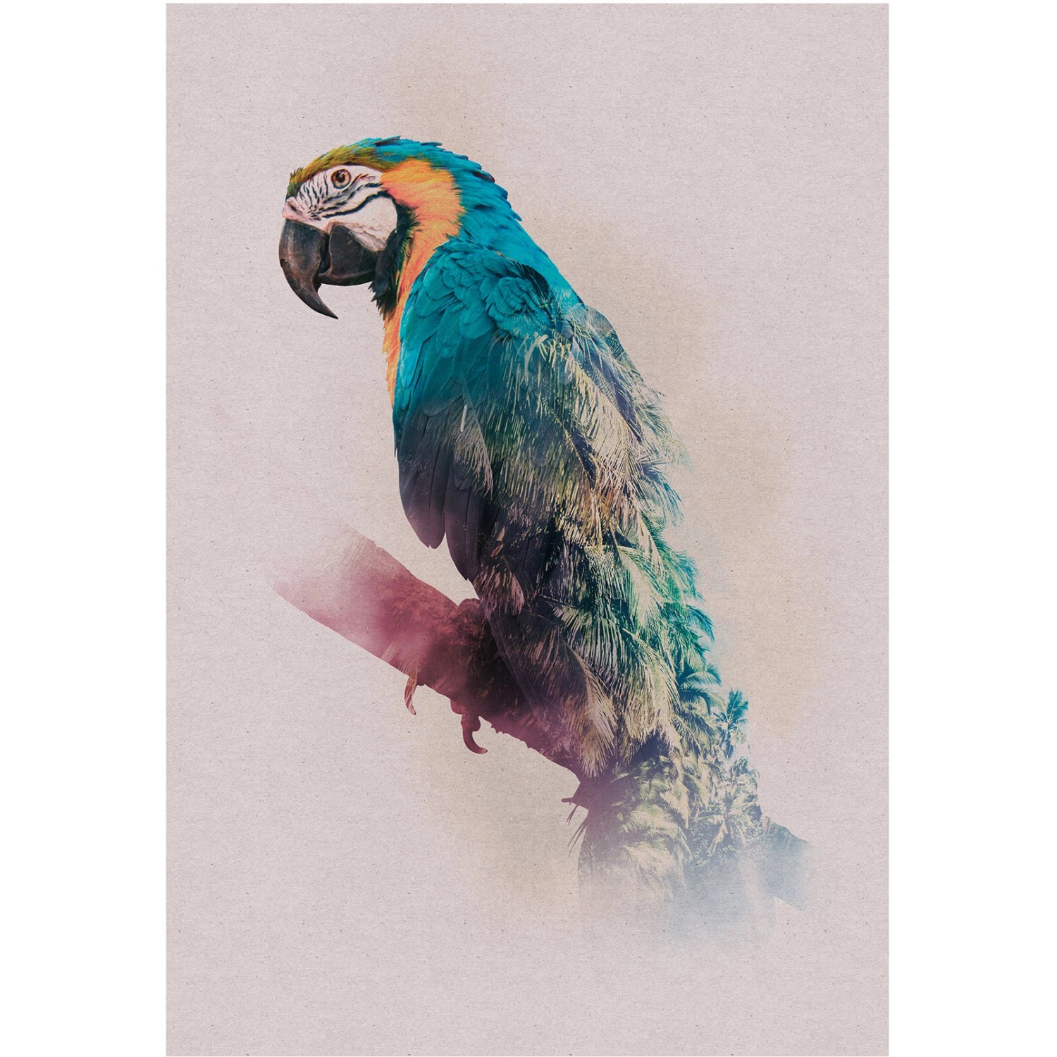 Komar Wandbild Animals Parrot 50 x 70 cm