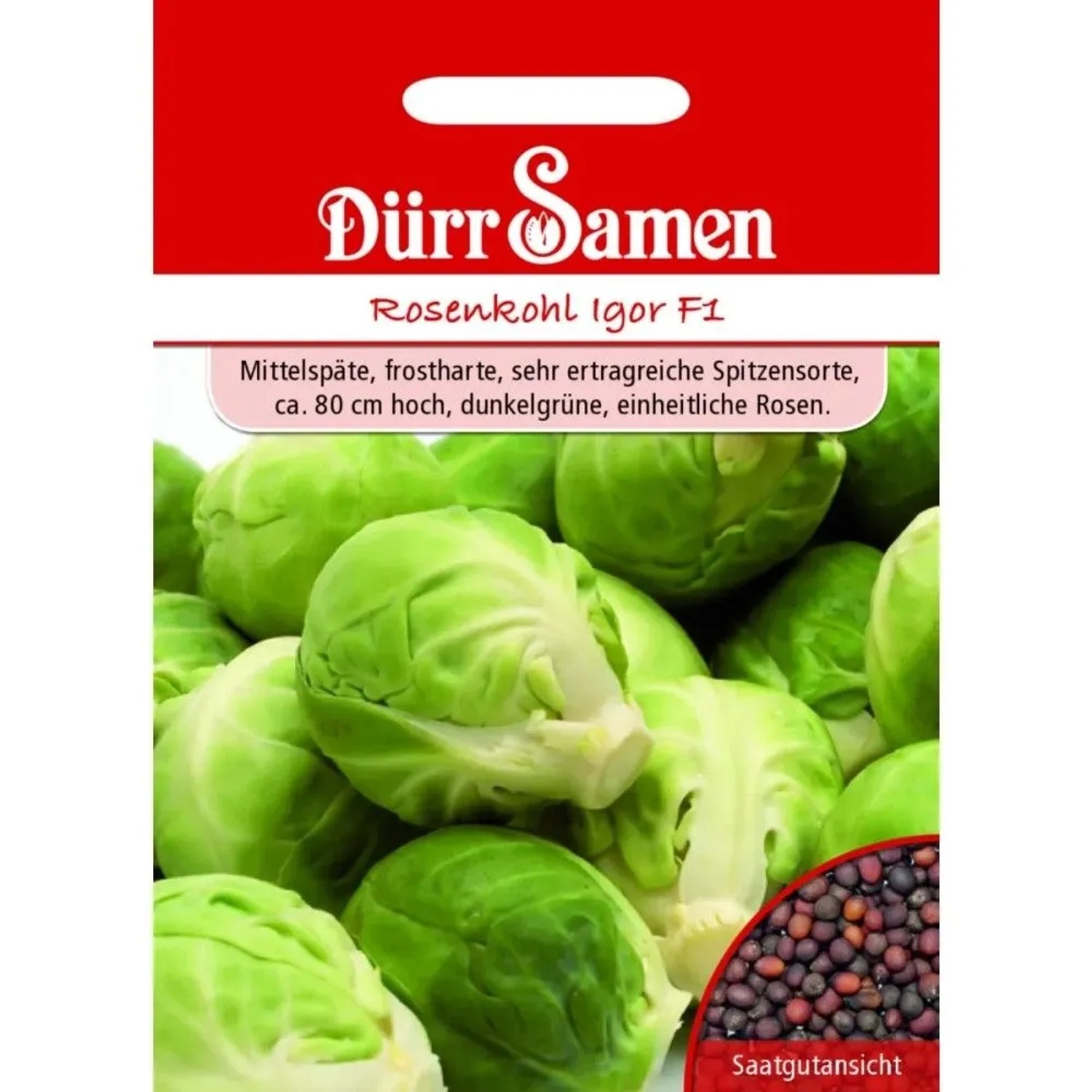 Dürr Samen Rosenkohl Igor F1 Saatgut