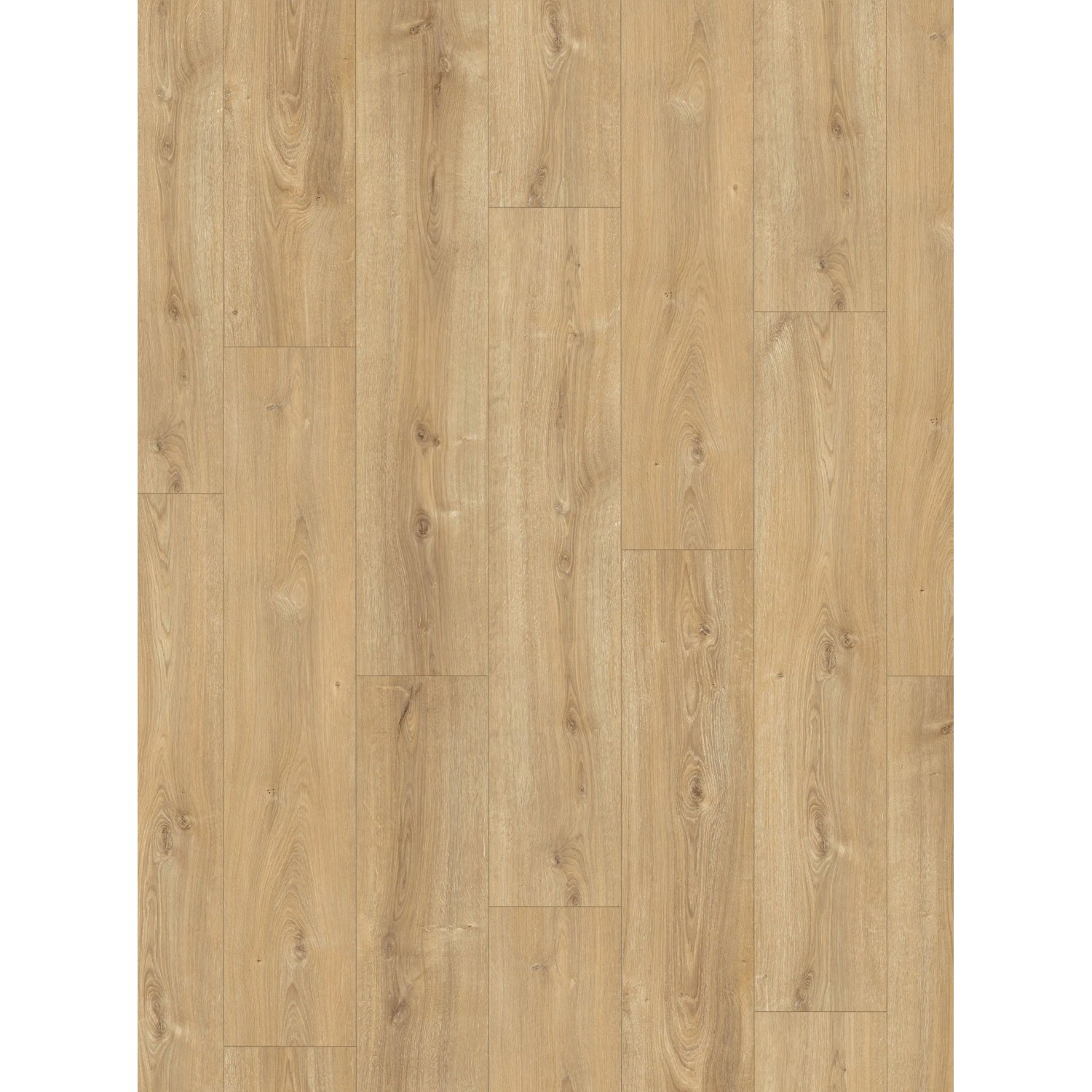 Parador Laminatbodenmuster Basic 600 Eiche Nova Gekälkt Braun