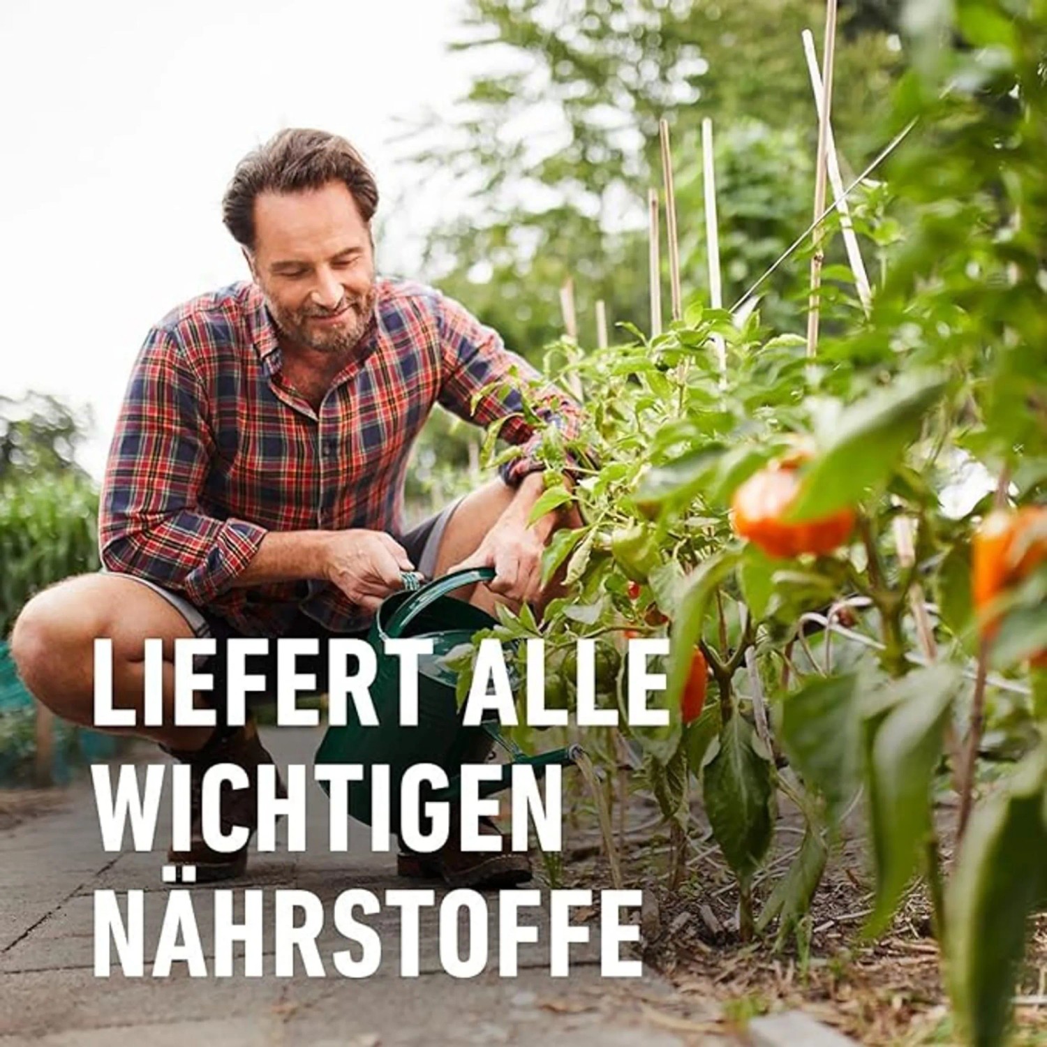 Mann gießt Gemüse mit Compo Bio Obst- und Gemüsedünger für gesundes Wachstum.