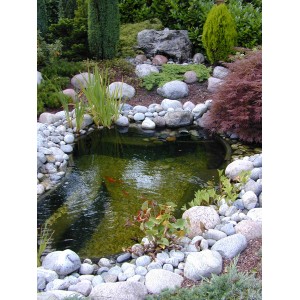 Ubbink Fertigteich Calmus SII im Garten mit Steinen und Pflanzen dekoriert.