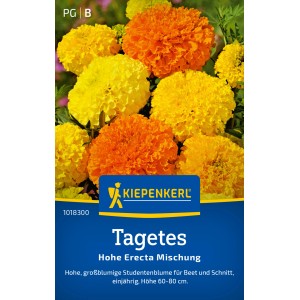 Kiepenkerl Tagetes Hohe Mischung: Gelbe und orangefarbene Studentenblumen im Beet.