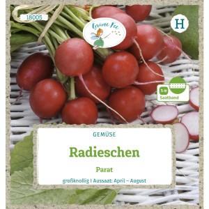 Grüne Fee Radieschen Parat Saatband: Karminrote Radieschen auf Saatband für den Gemüseanbau.