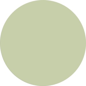 Farbfeld der Alpina Wandfarbe Pure Farben Pistaziengrün.