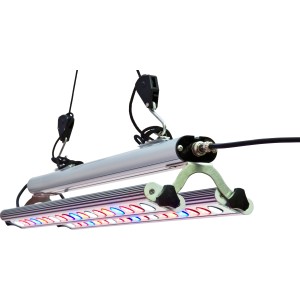 Parus LED-Pflanzenlampe GrowLight Quattro Double 60W zur Pflanzenanzucht.