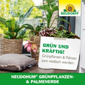 Neudorff NeudoHum Grünpflanzen- & Palmen-Erde 40L mit Zimmerpflanzen in Körben.