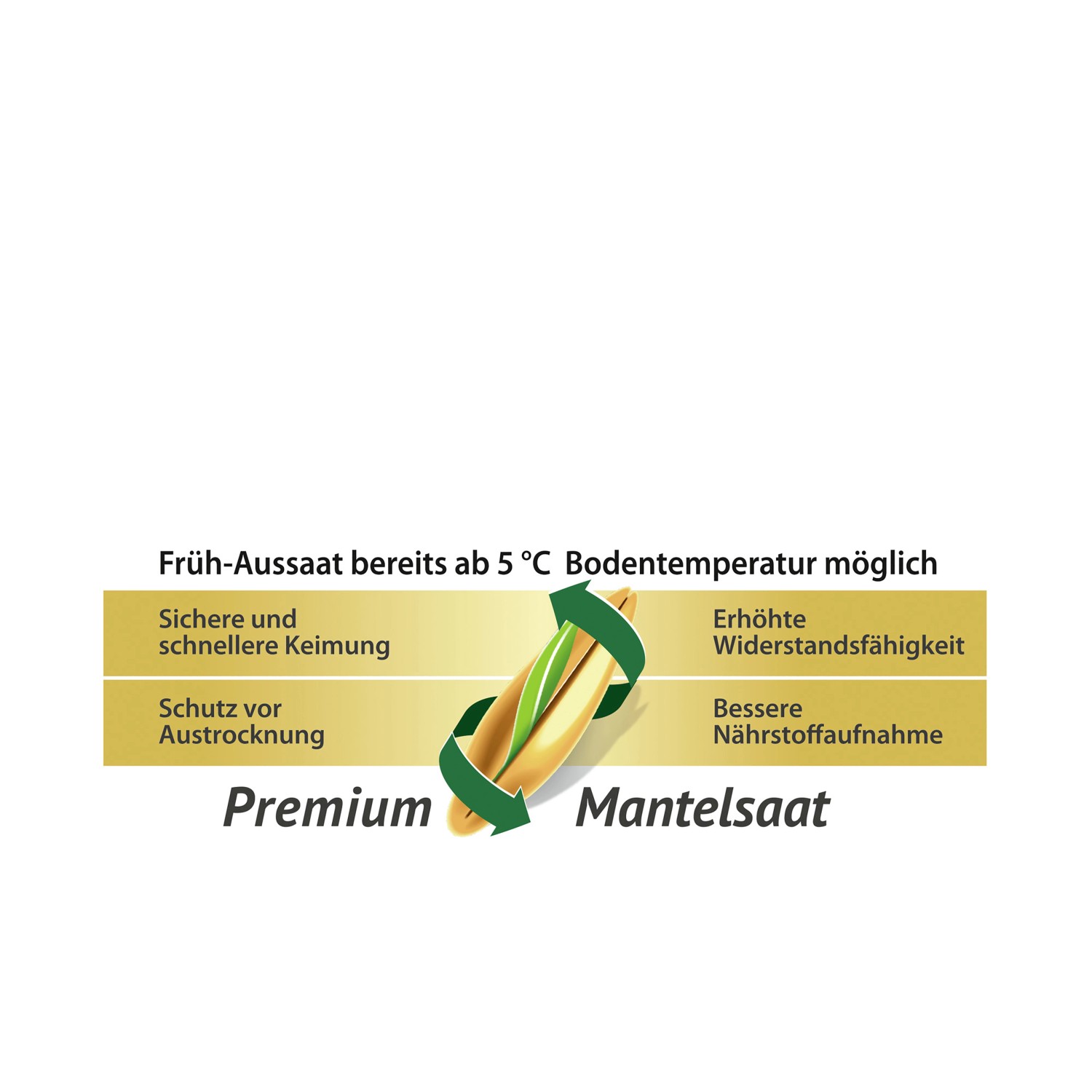 Compo Saat® Trocken-Rasen 2 kg für 80 m²_5