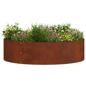 vidaXL Pflanzenring 5 Stk Braun 80 x 80 x 20 cm Wetterfeststahl 873633