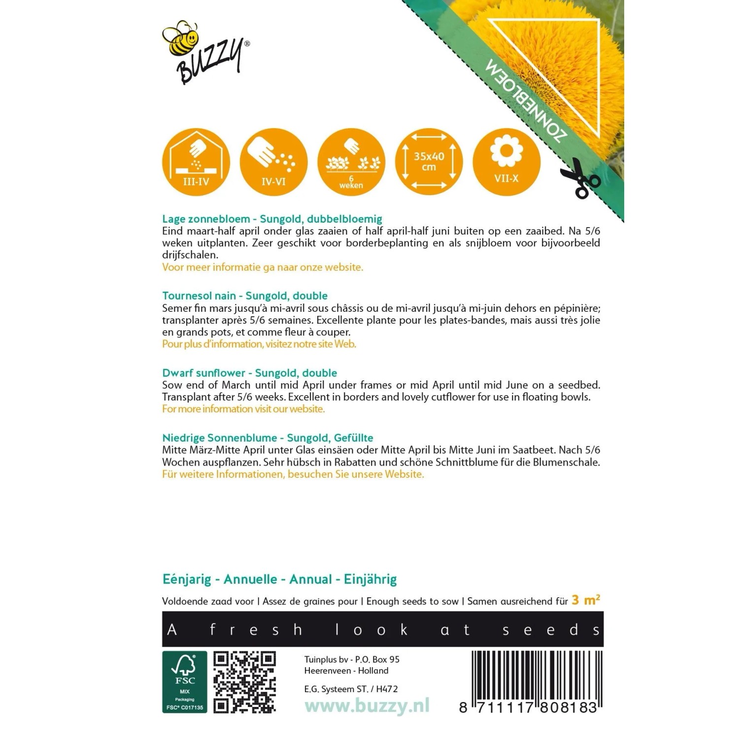 Zwerg-Sonnenblume 'Sungold Gefüllt' Buzzy Sunny Flowers Samen Circa 2,5 g Gefüllte Blüten_2