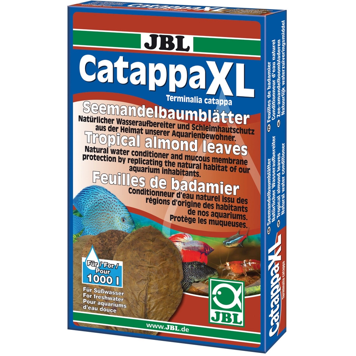 JBL Catappa Seemandelbaumblätter XL