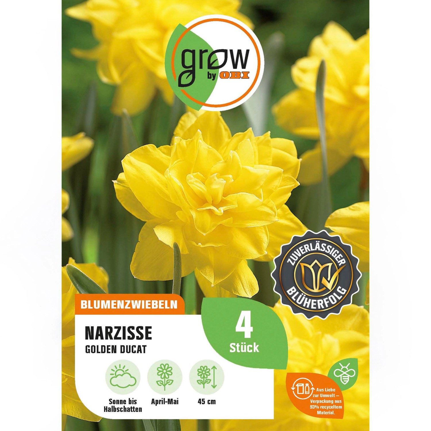 GROW by OBI Narzissen Golden Ducat Gelb 4 Stück Narcissus double Golden Duc günstig online kaufen