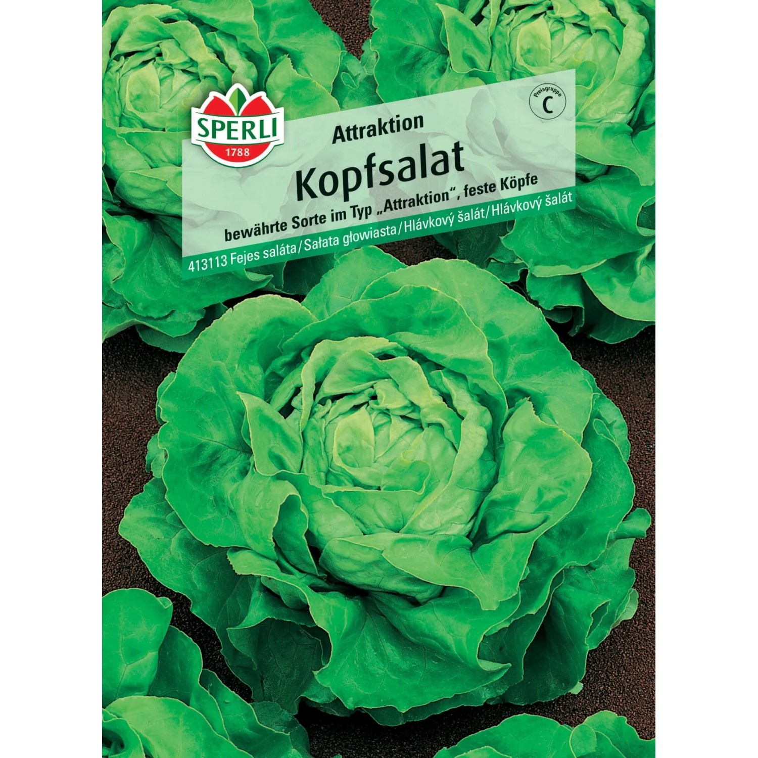 Sperli Kopfsalat "Attraktion"