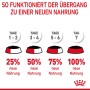 Grafik: Futterumstellung für Katzen mit Royal Canin Light Weight Care. Anleitung in 4 Schritten.
