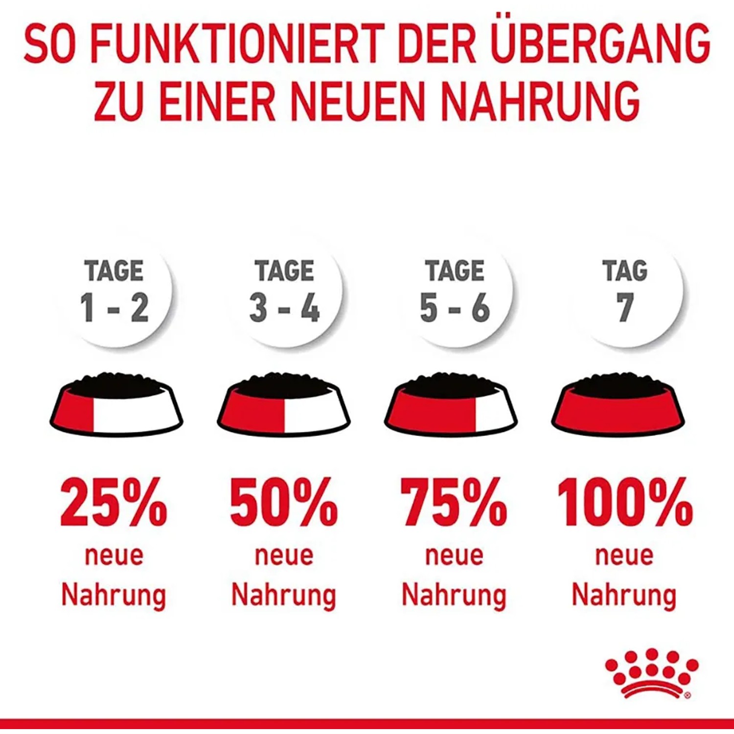 Grafik: Futterumstellung für Katzen mit Royal Canin Light Weight Care. Anleitung in 4 Schritten.