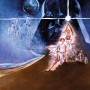 Komar Star Wars Fototapete: Poster mit Luke, Leia, Darth Vader und Raumschiffen. Ideal für Kinderzimmer.