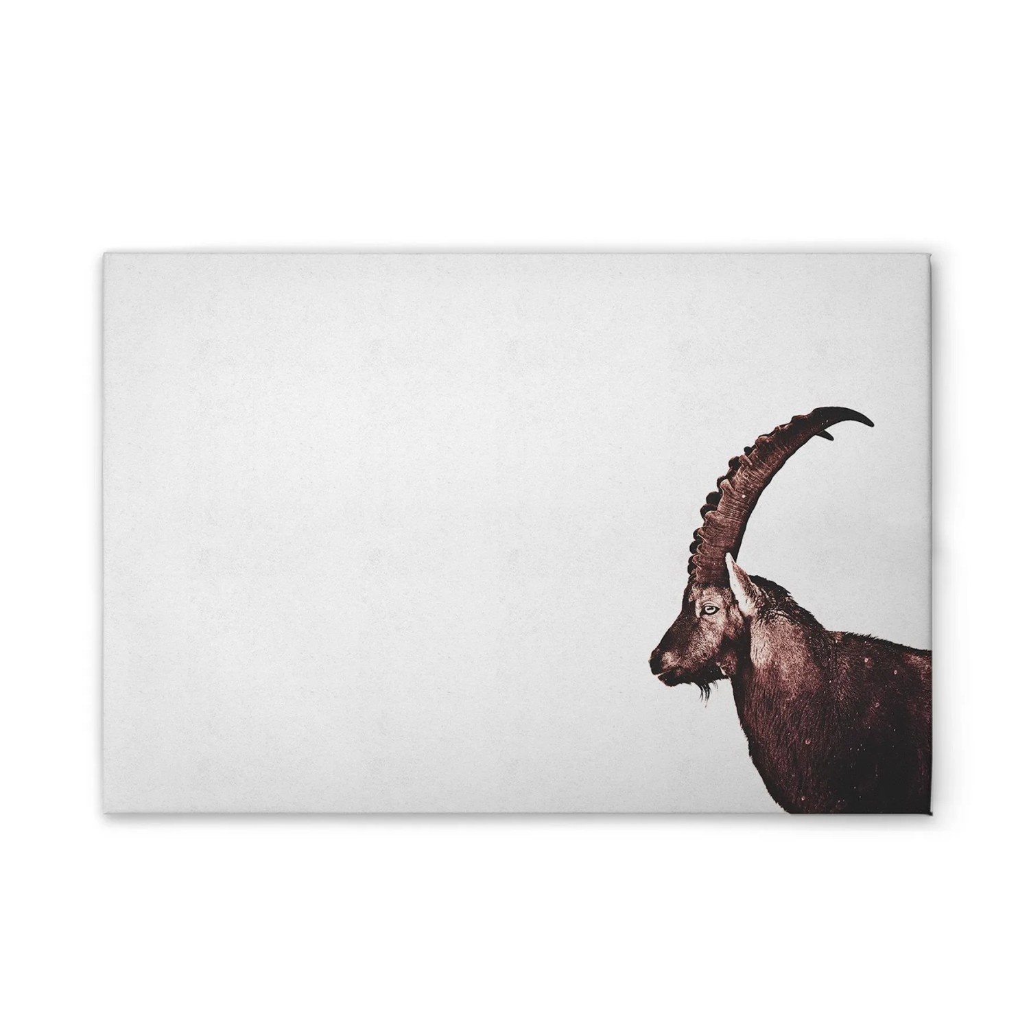 Tadessi Leinwandbild - M1-No.51122 - Tiere Steinbock - 60 x 40 cm - Hochformat