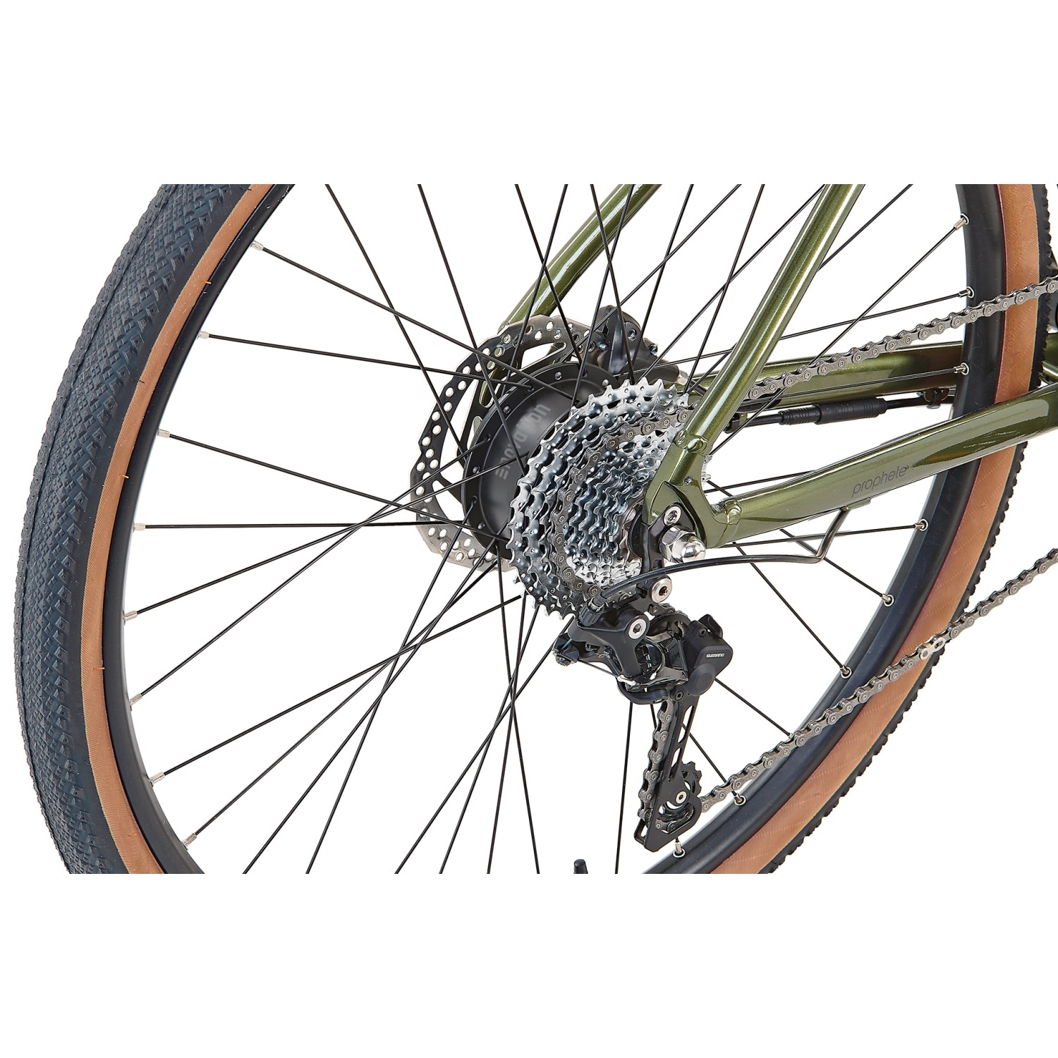 Detailaufnahme Hinterrad, Kassette und Kette des grünen Prophete Gravel E-Bike Graveler 1.0.
