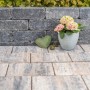 Diephaus Mauerstein Collo Basalt, 30x10x10 cm, als filigrane Mauer mit Pflanze im Topf.