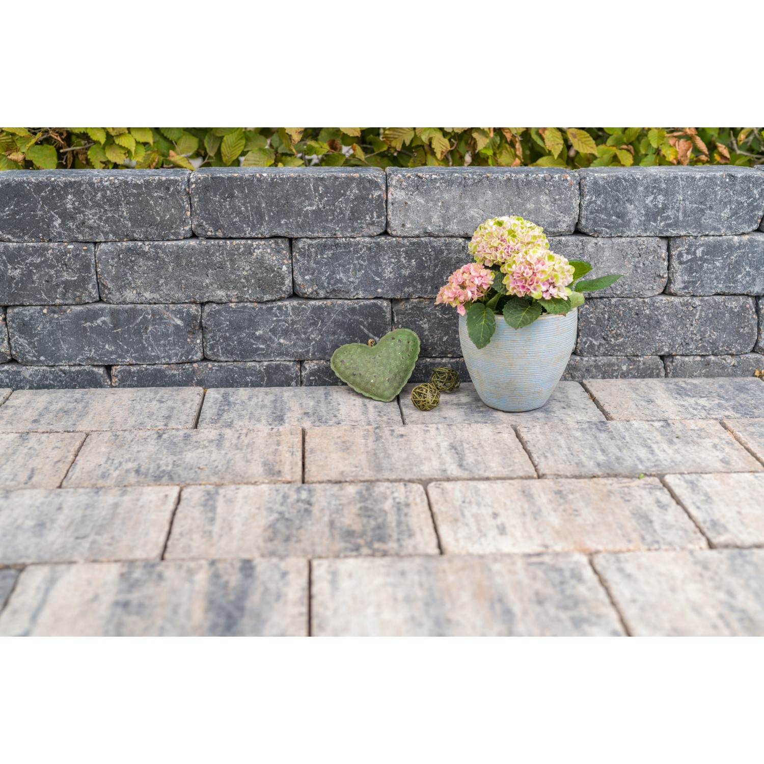 Diephaus Mauerstein Collo Basalt, 30x10x10 cm, als filigrane Mauer mit Pflanze im Topf.