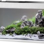 Eheim Proxima ClassicLED 250 Urban Aquarium-Komplettset mit Abdeckung, bepflanzt und dekoriert.