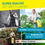 Gloria Drucksprüher Prima 3 im Einsatz: Gelbe Gartenspritze mit Lanze zur Pflanzenpflege.