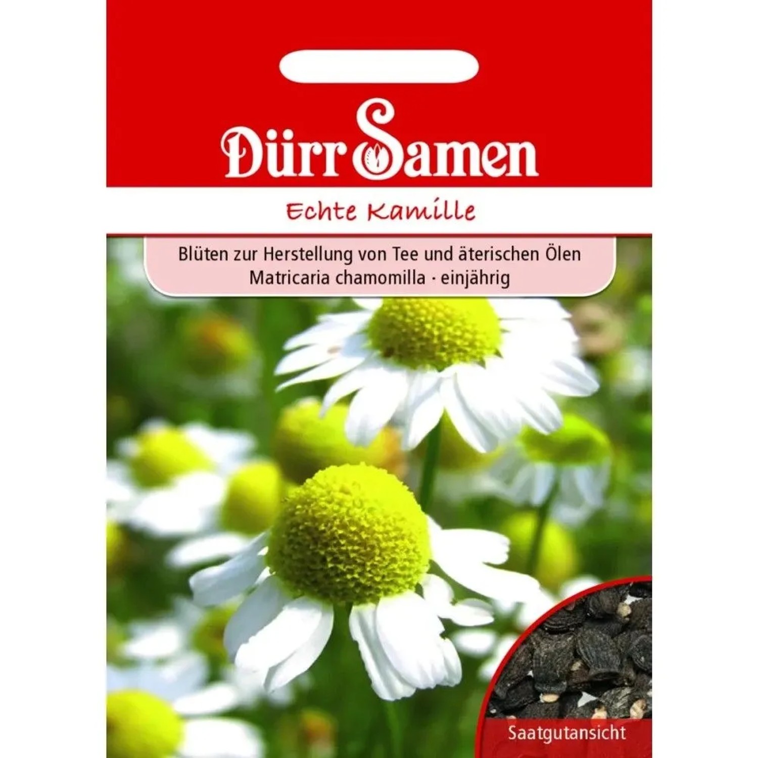 Dürr Samen Kamille Echte Saatgut
