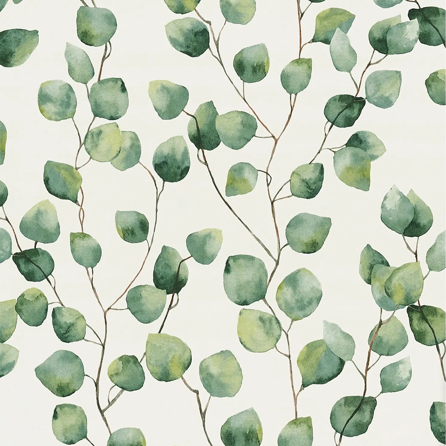 Thumbnail - AS-Creation Vliestapete Eukalyptus Vorgeleimt 10,05 m x 0,53 m Weiß-Grün FSC®