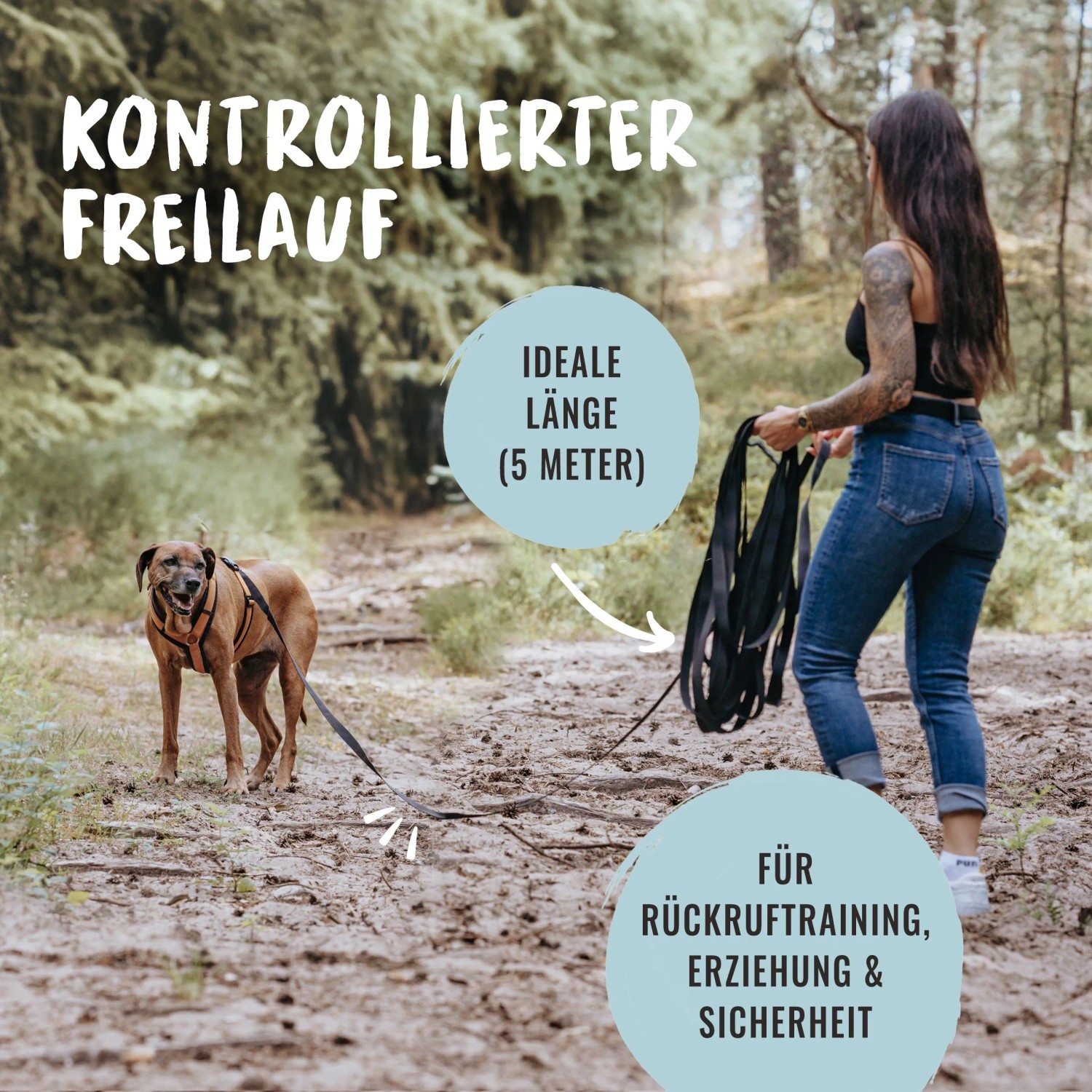 Hund mit Rudelkönig Schleppleine (5m) beim Freilauf im Wald. Nylon, 2,5 cm breit.