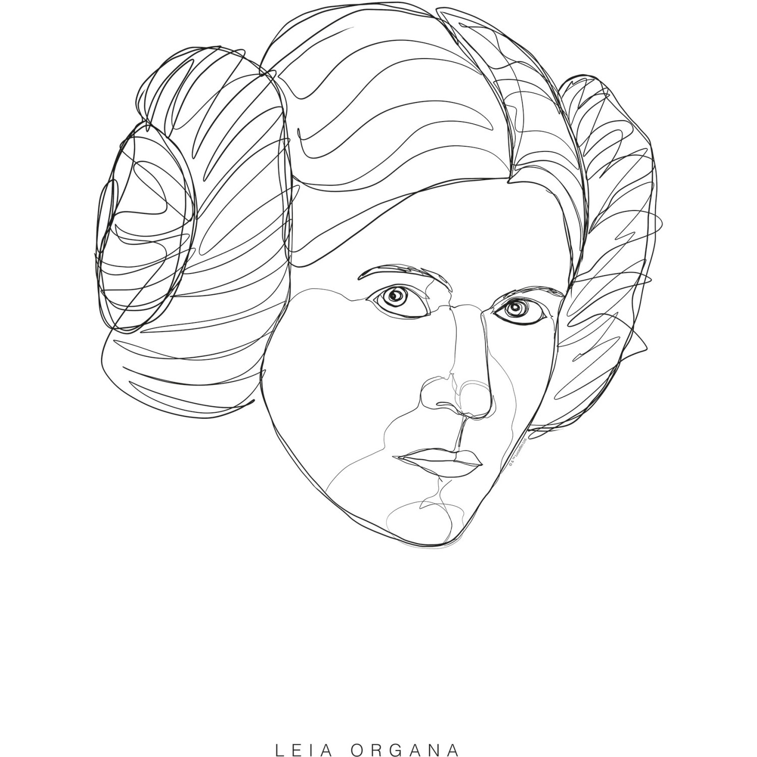 Komar Wandbild Star Wars Leia 40 x 50 cm günstig online kaufen