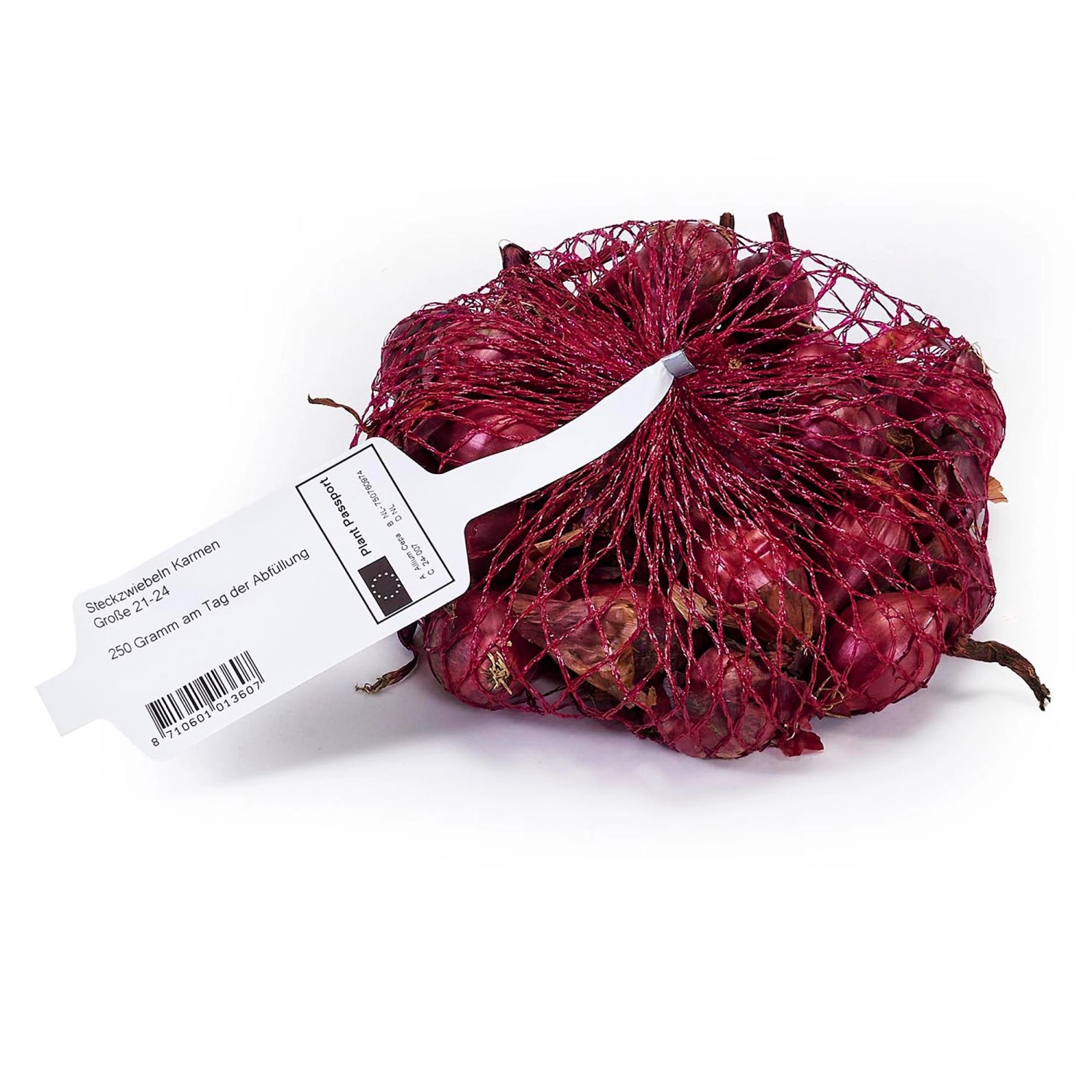 Steckzwiebel 250 g Allium cepa Karmen günstig online kaufen