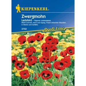 Kiepenkerl Mohn 'Ladybird': Rot-schwarze Blüten auf der Samenpackung, Kategorie Blumensamen.