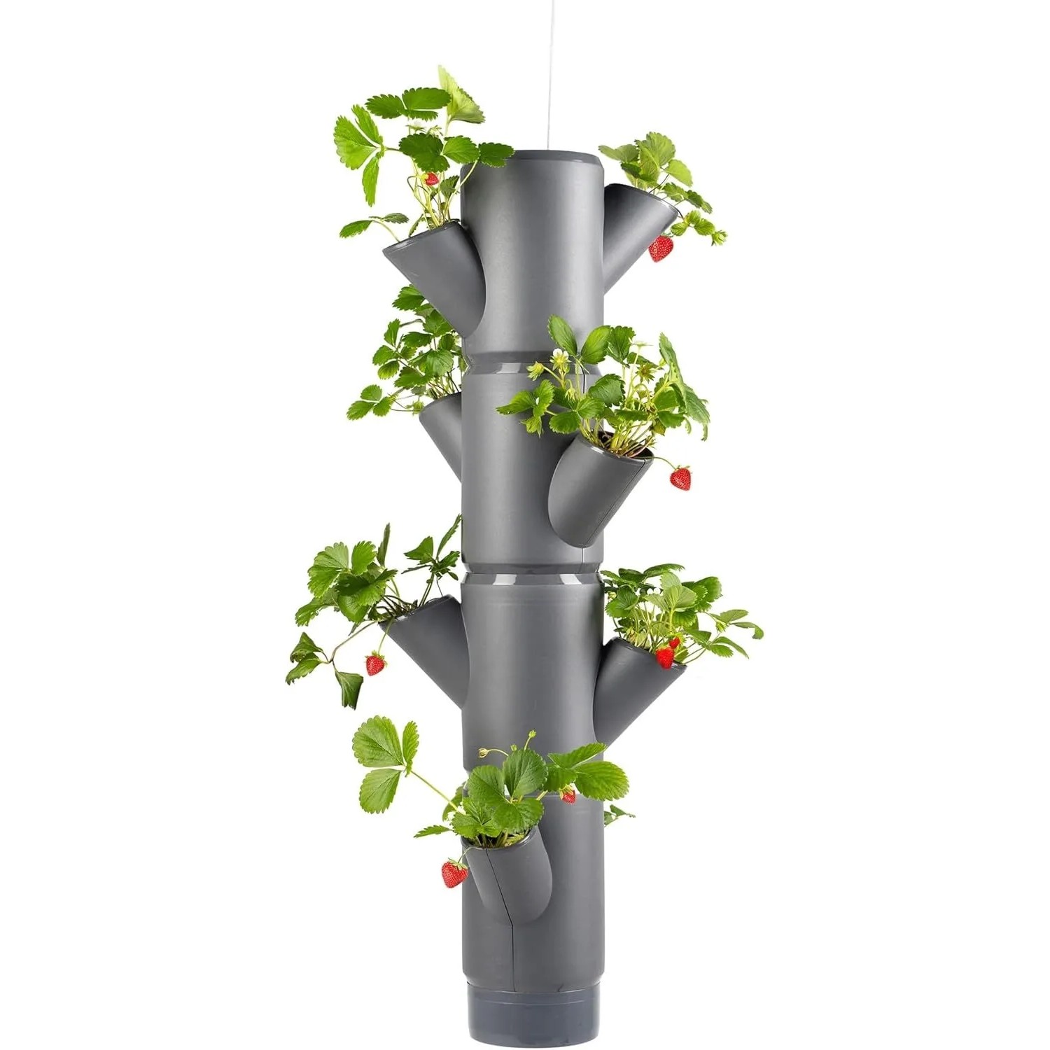 Gusta Garden Erdbeerbaum Sissi Strawberry Hochbeet System Hanging Anthrazit