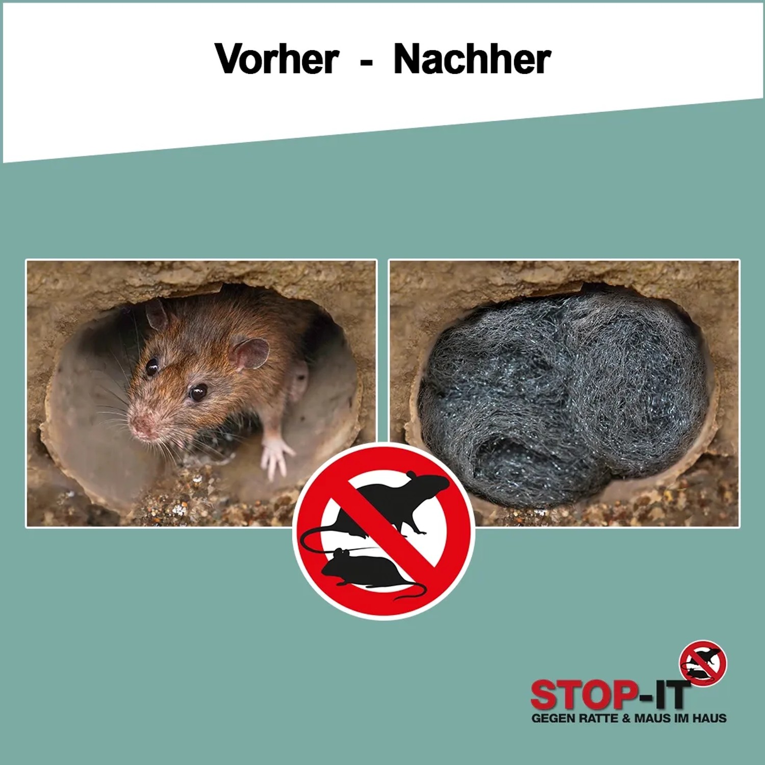 Vorher-Nachher: Ratte im Loch vs. Loch mit RAKSO Stahlwolle verschlossen. Schädlingsbekämpfung.