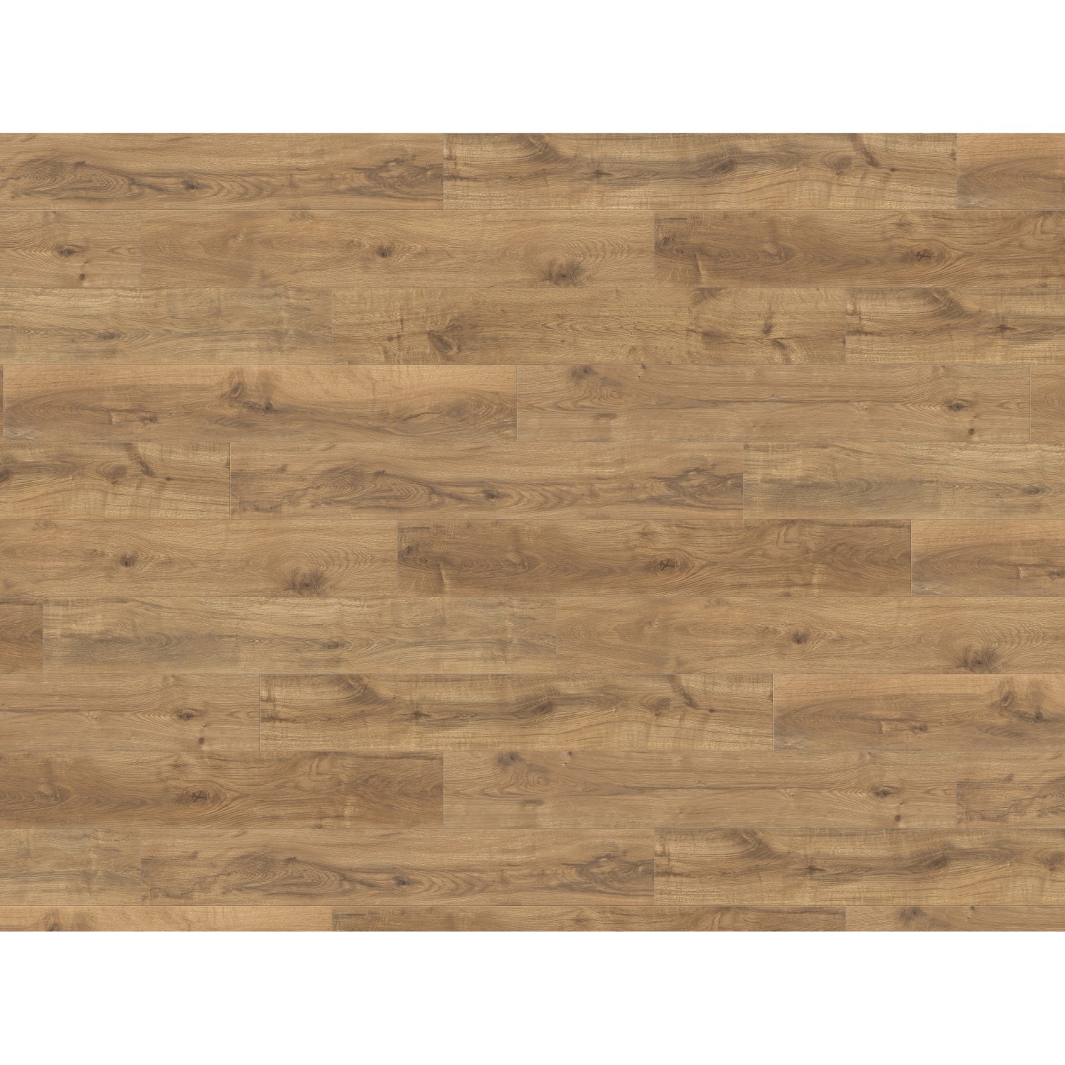 Living by Haro Laminatbodenmuster Eiche Kentucky Landhausdiele