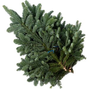 Bund Edeltannenzweige (Nobilis) für Adventsschmuck und Weihnachtsdeko.