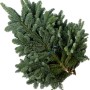 Bund Edeltannenzweige (Nobilis) für Adventsschmuck und Weihnachtsdeko.