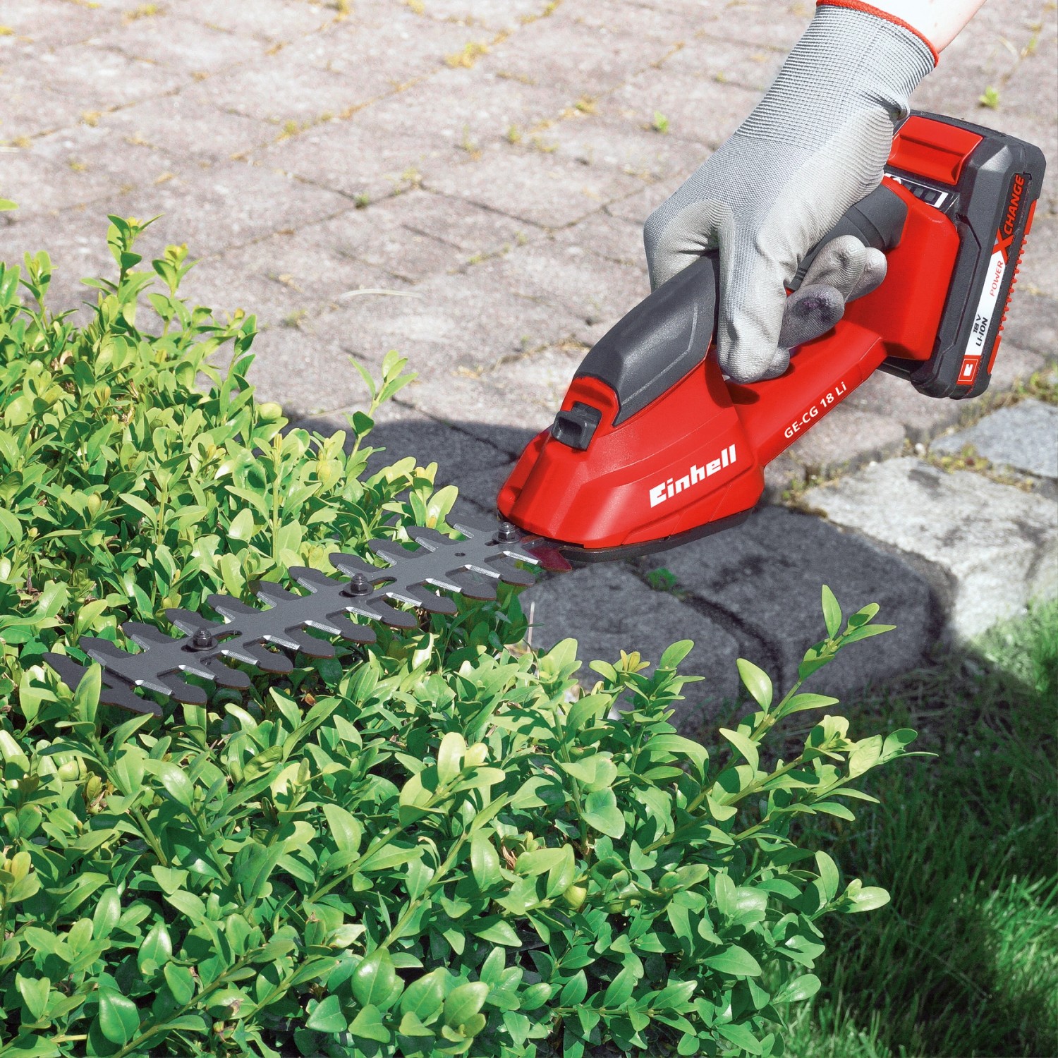 Einhell GC-CG 18 Li Akku-Gras- und Strauchschere beim Schneiden einer Hecke.