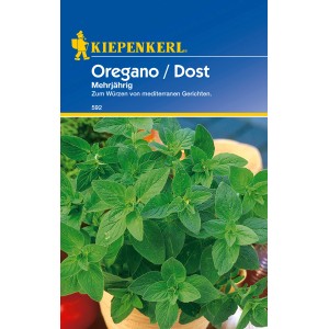 Kiepenkerl Oregano Dost im Topf: Mehrjährige Kräutersamen für mediterrane Gerichte.