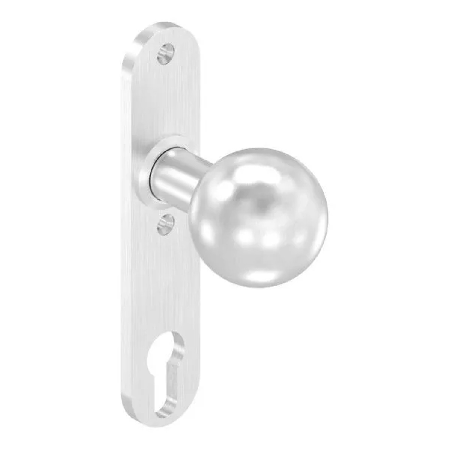 FeNau Türknopf Edelstahl V2A Ø 50 mm Mit Langschild Feststehend Geschliffen Korn 240
